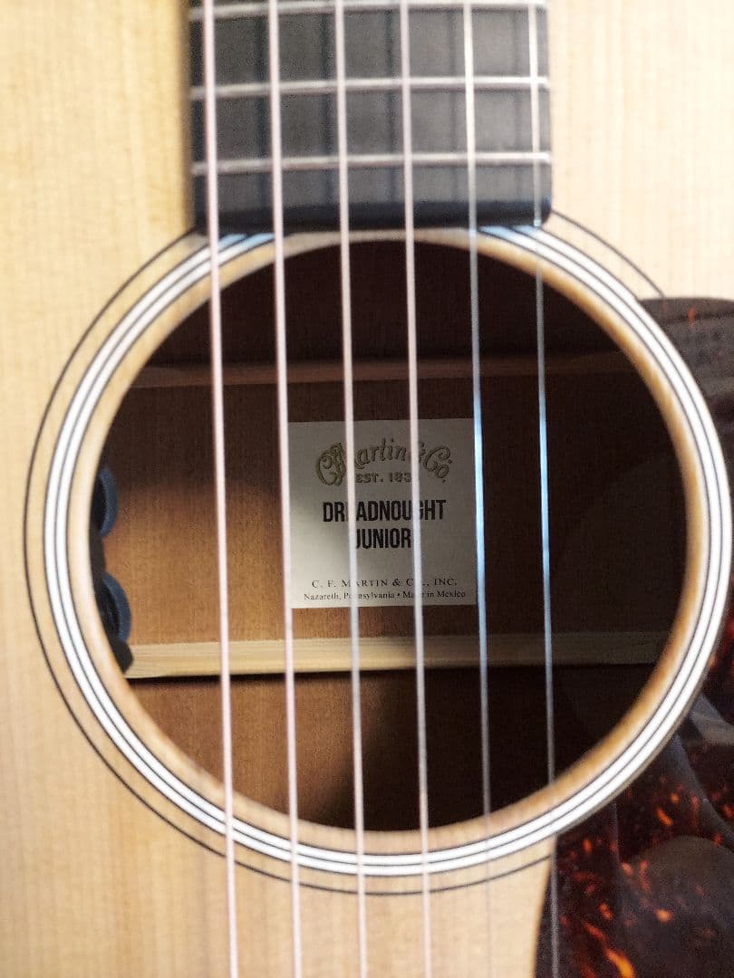 ギター 311 Martin DJR-10E