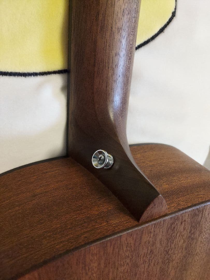 ギター 311 Martin DJR-10E