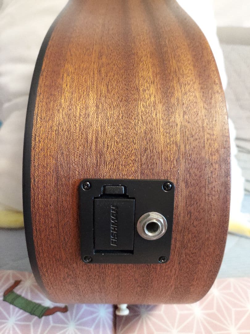 ギター 311 Martin DJR-10E