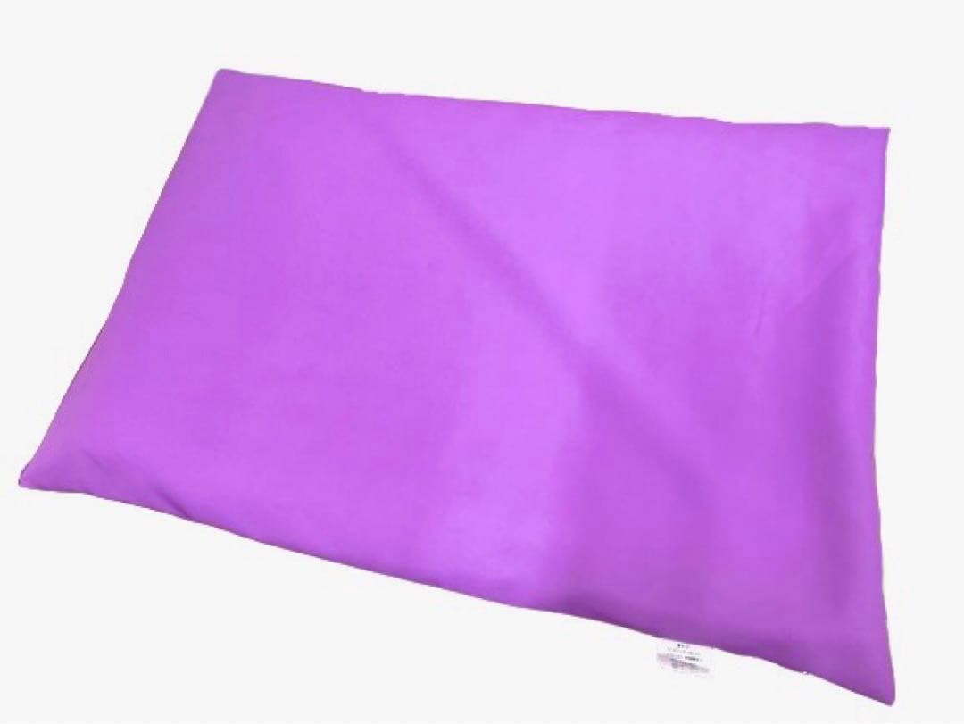 正規品RICHWAY バイオマット 7000mx プロフェッショナル アメジスト