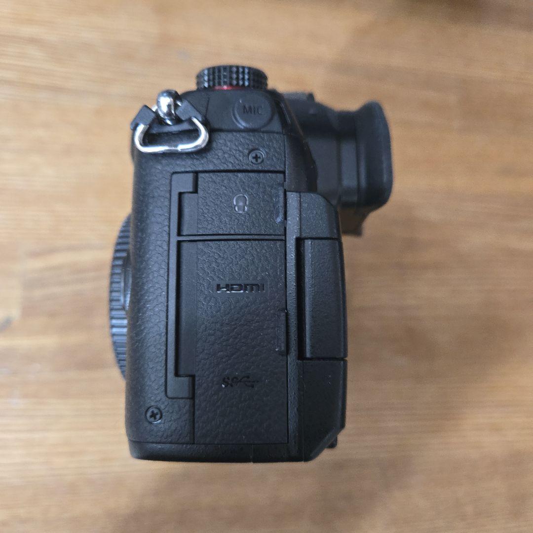Z*e様 Panasonic LUMIX GH5 II DC-GH5M2 本体