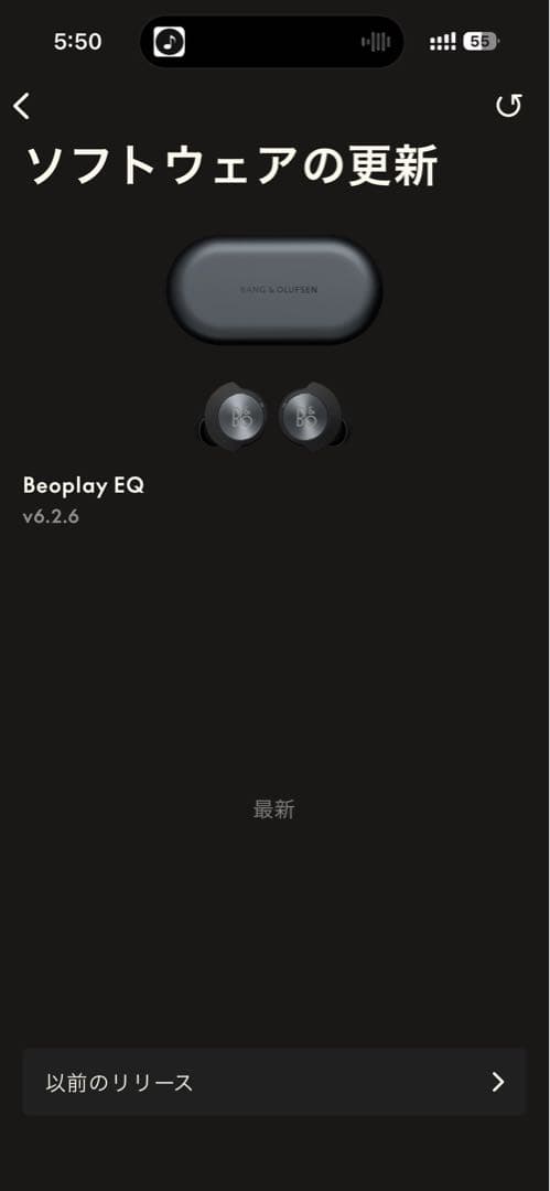 イヤホン Bang & Olufsen-Beoplay EQ BLACK