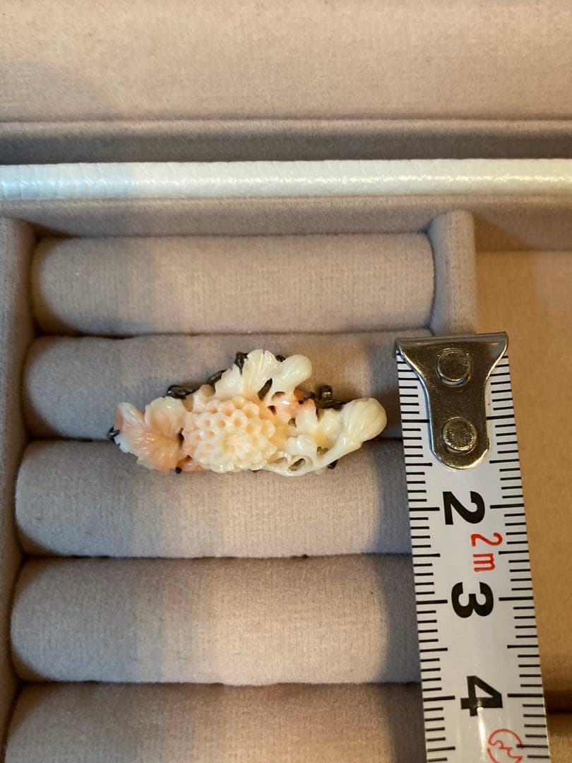 【激レア】本珊瑚　帯留　希少