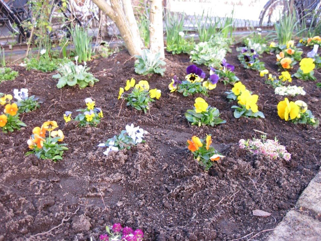 実写美⭕️良品【動作確認済み】 Canon IXY DIGITAL 25 IS