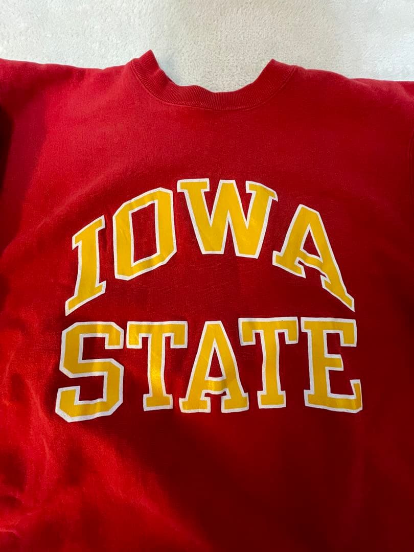 古着90年代USA製チャンピオンリバースウィーブアイオワ大学2段プリント好配色