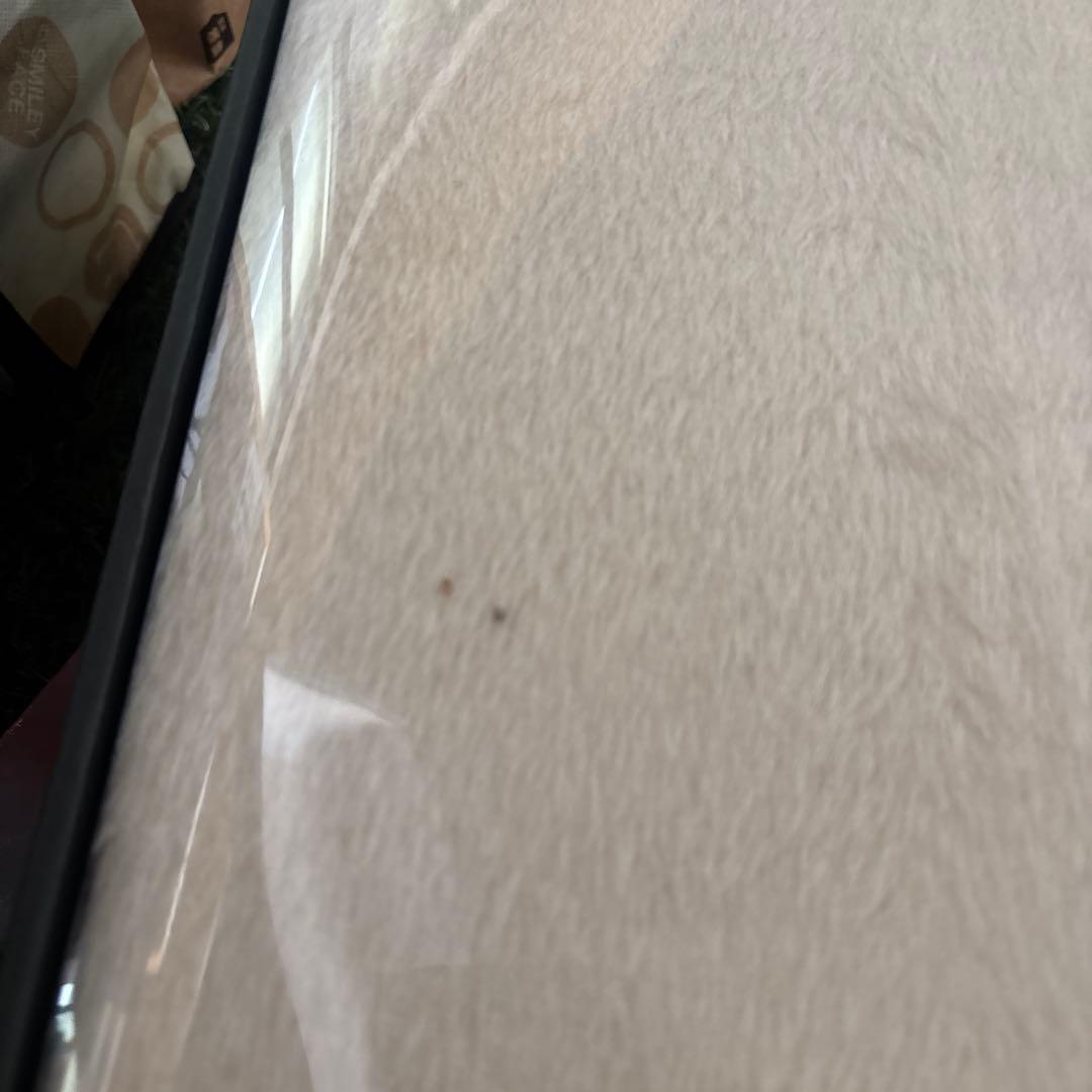 Excellent Blanket Selection クリーム色