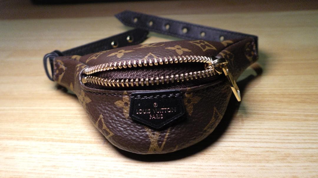 LOUIS VUITTON モノグラム ブラスレパーティーバムバッグ