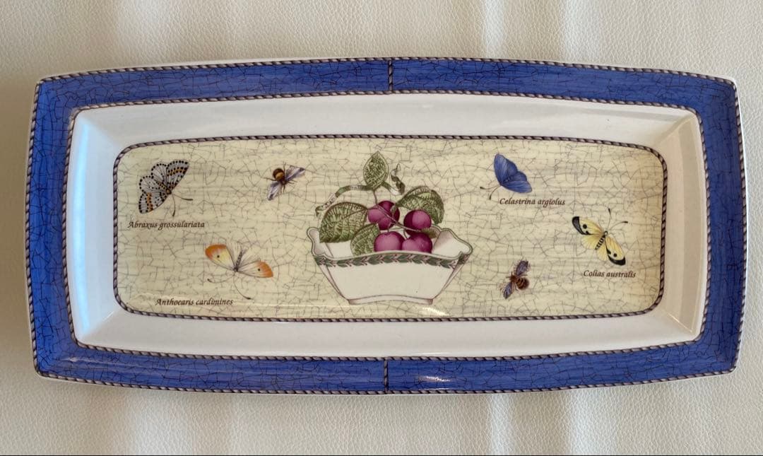 SARAH’S GARDEN 長皿&ケーキ皿　デザート皿フルーツ皿5枚セット