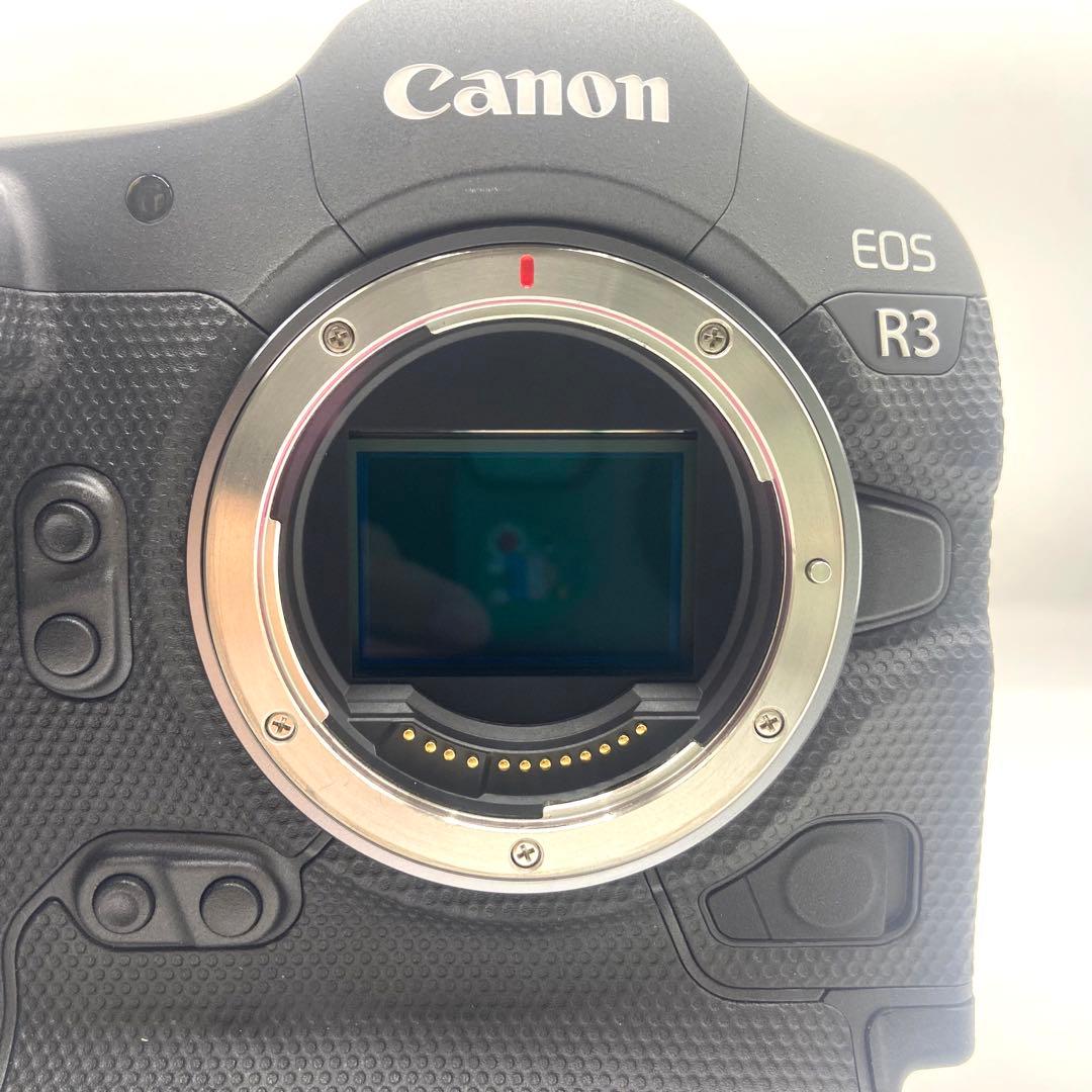 【極美品】　Canon キャノン　EOS R3 ミラーレスカメラ　フルサイズ