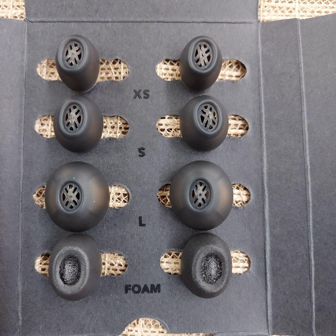 MD-1069-308☆ DEVIALET　GeMINI Ⅱ　ワイヤレスイヤホン