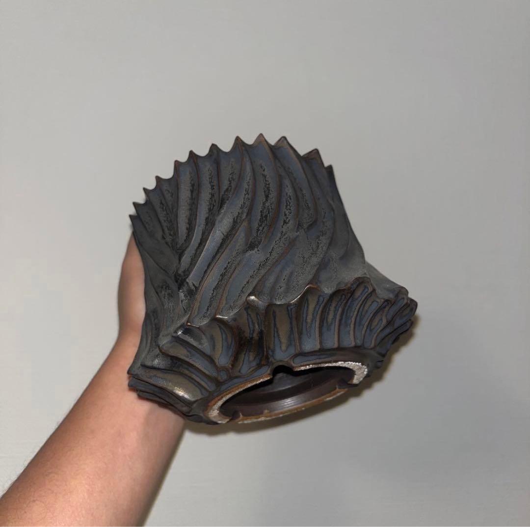 XL SIZE 植木鉢 作家鉢 アガベ グラキリス ホリダ チタノタ シーザー