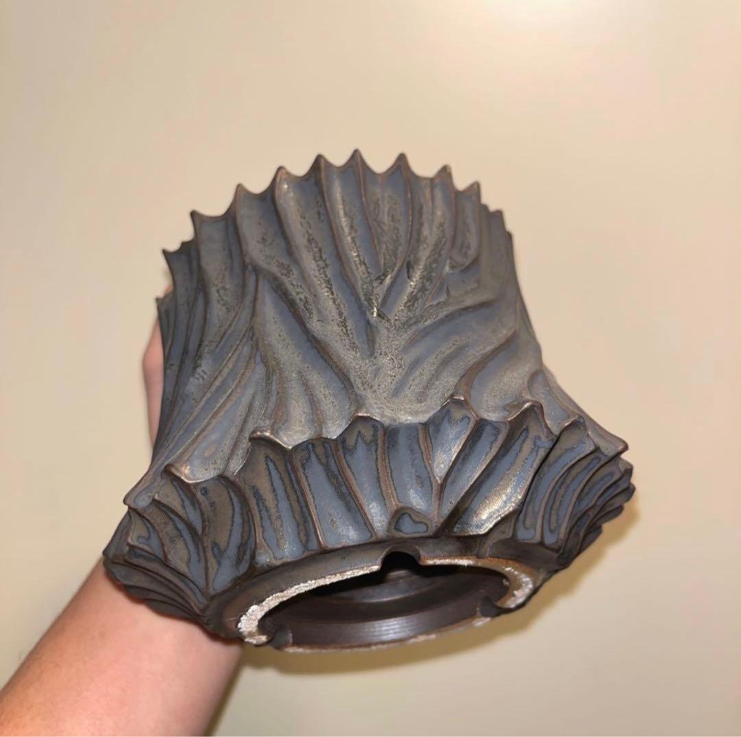 XL SIZE 植木鉢 作家鉢 アガベ グラキリス ホリダ チタノタ シーザー