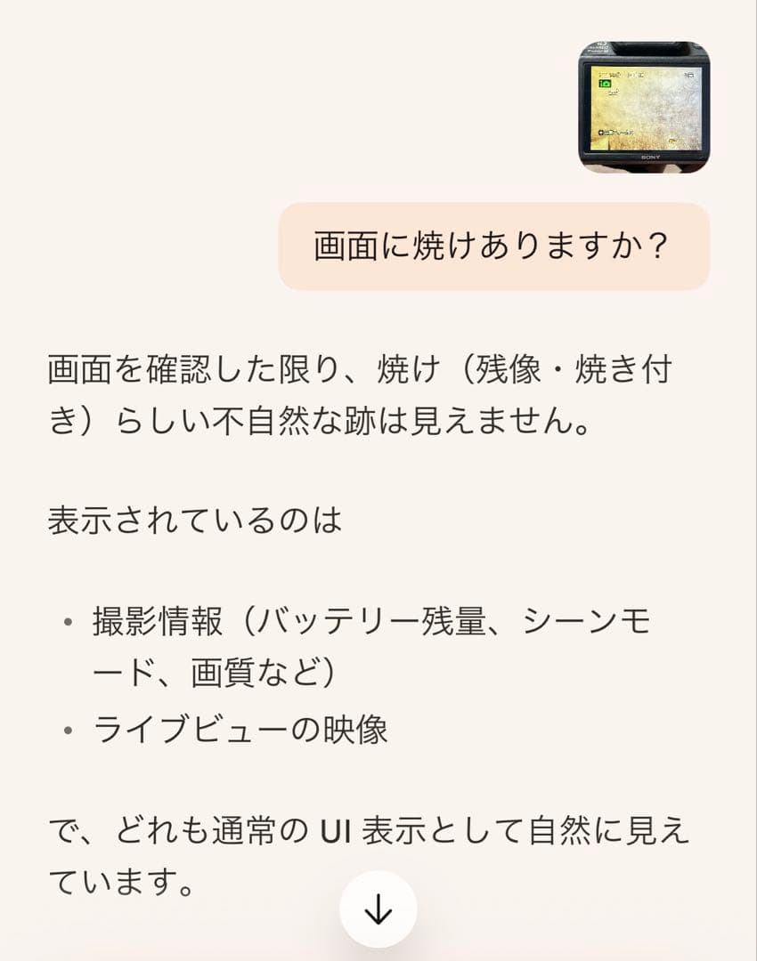 稼働品　SONY Cyber-shot DSC-HX100V コンデジ　付属品付