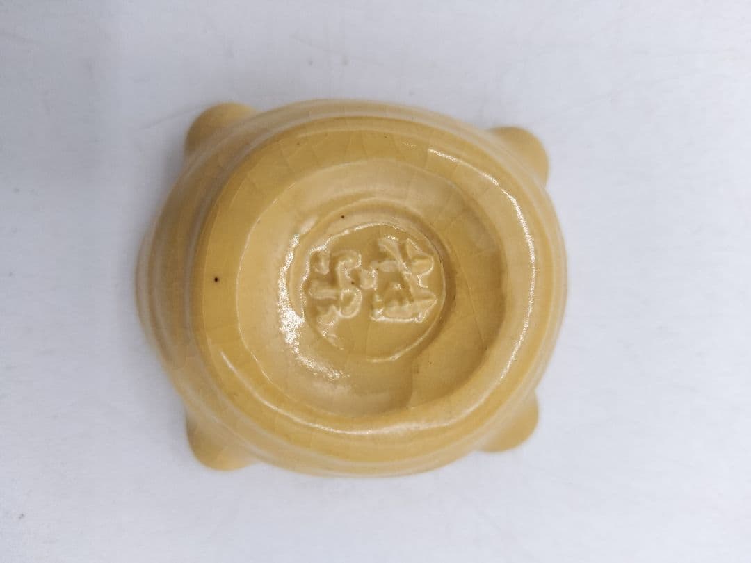 c769 【新品・未使用】香合 亀 伊東桂楽 木箱 茶道具