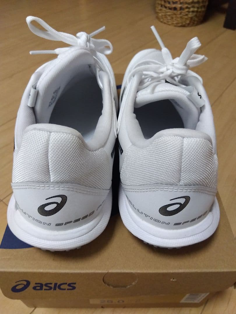 【オムニ・クレー】アシックス　ソリューションスピードFF3　25cm