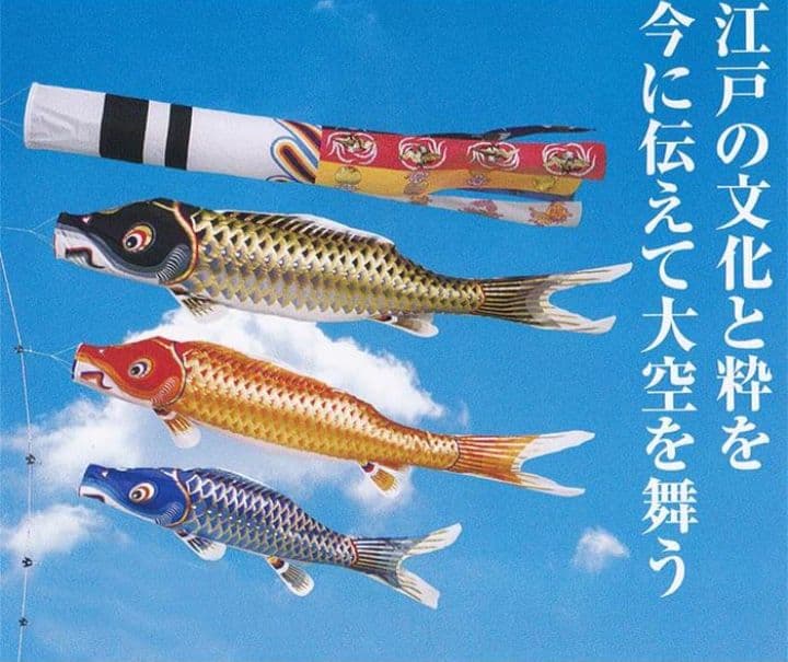 y【未使用品】鯉のぼり 5Mセット　江戸錦鯉　東洋紡　錦鯉　瑞祥吹流