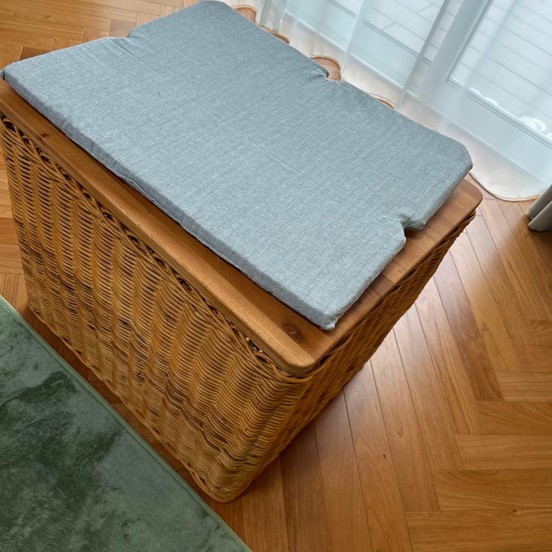 ラタン　ペットハウス クッション付き　籐製サイドテーブル