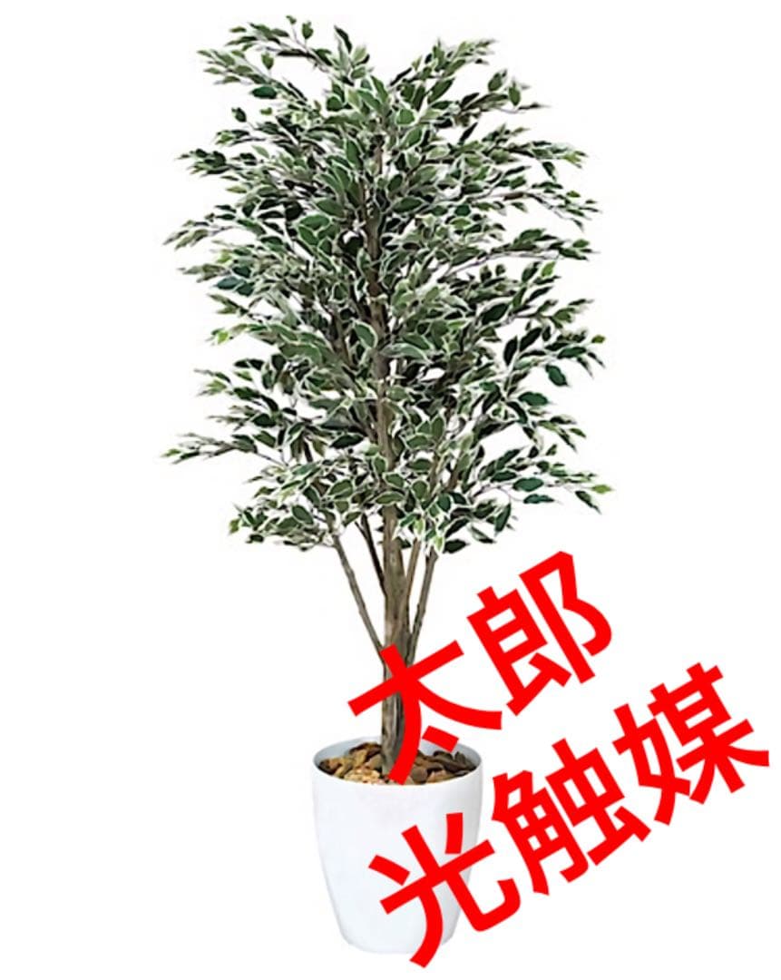 光触媒　人工観葉植物　ウォールグリーン　フェイクグリーン　ベンジャミンフィカスG