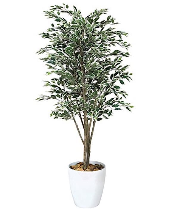 光触媒　人工観葉植物　ウォールグリーン　フェイクグリーン　ベンジャミンフィカスG