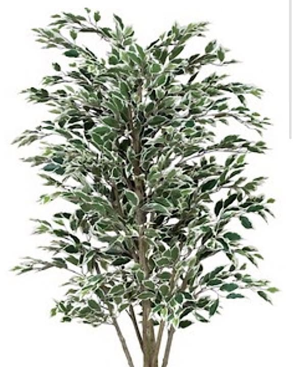 光触媒　人工観葉植物　ウォールグリーン　フェイクグリーン　ベンジャミンフィカスG