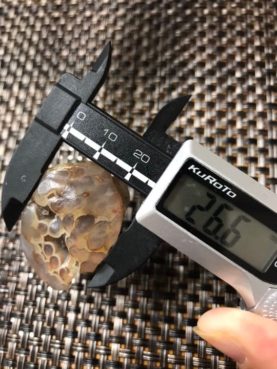 ゴビ石−111 ゴビ瑪瑙 花眼　蜂の巣　原石