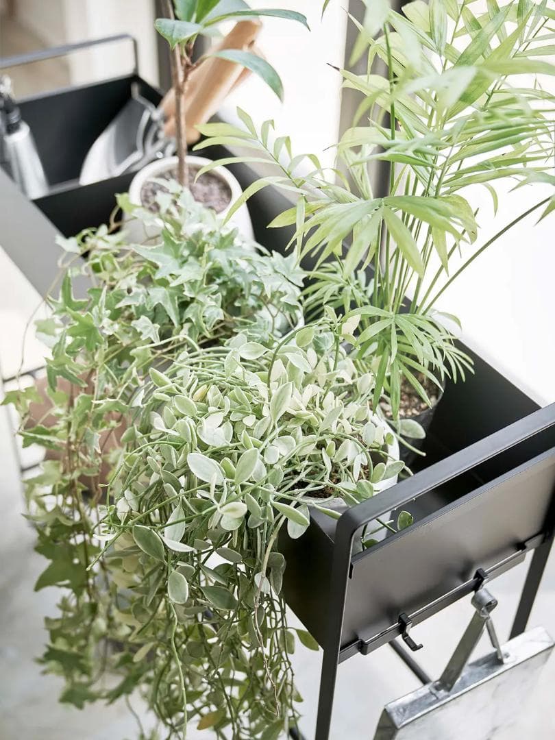 山崎実業 tower キャスター付き 玄関収納ラック タワー ブラック 黒 便利