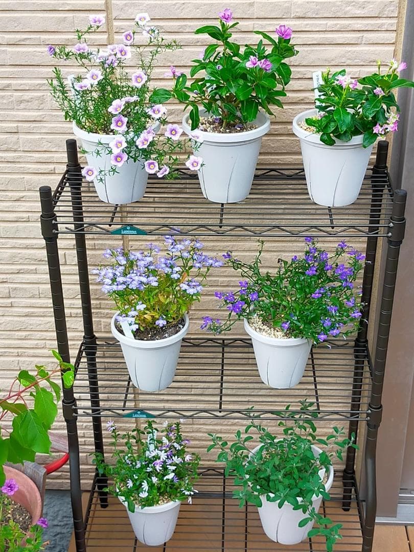 Aドウシシャ サビにくい 屋外用ラック 幅120 ルミナス エクステリアラック