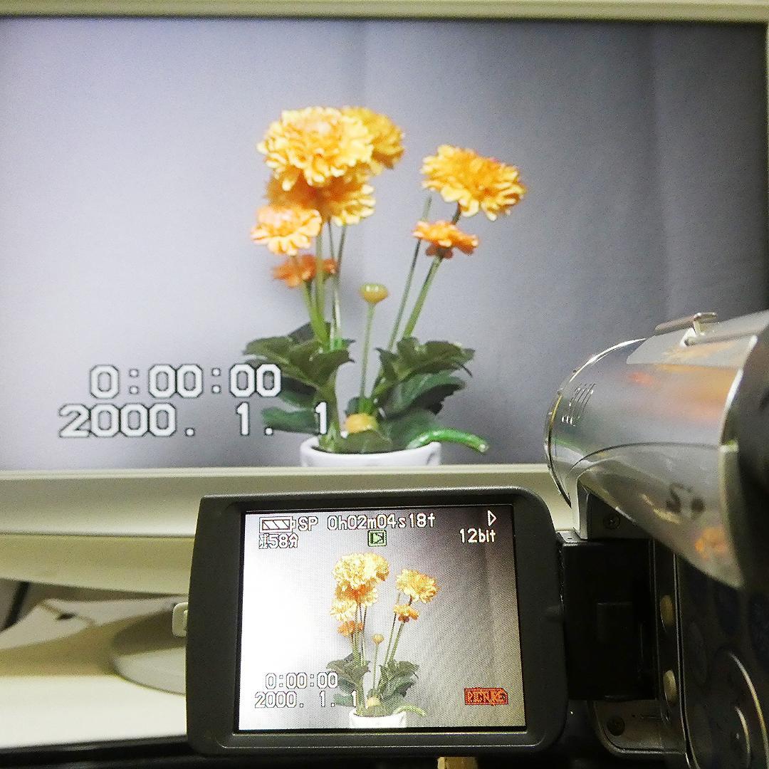 動作良好 パナソニック NV-GS200 MiniDV ビデオ ダビングに最適