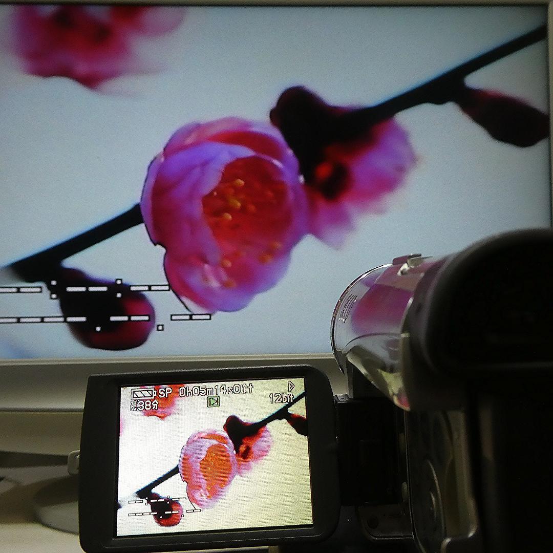 動作良好 パナソニック NV-GS200 MiniDV ビデオ ダビングに最適