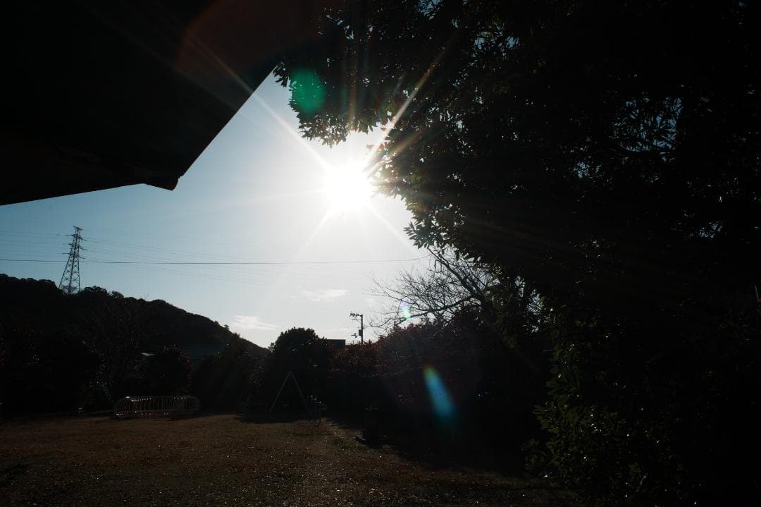 【整備＆テスト済】Nikon Af Nikkor 24mm F2.8 490