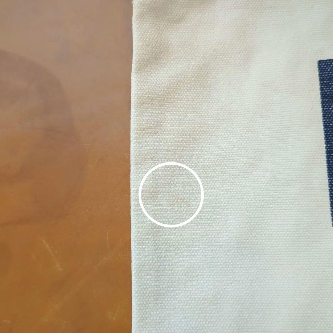 レア！POLO SPORTS クッションカバー 2枚 日本製 ポロラルフローレン