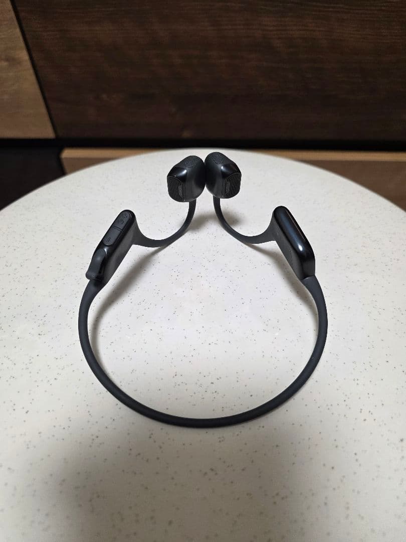 イヤホン shokz OpenRun PRO 2 mini Black