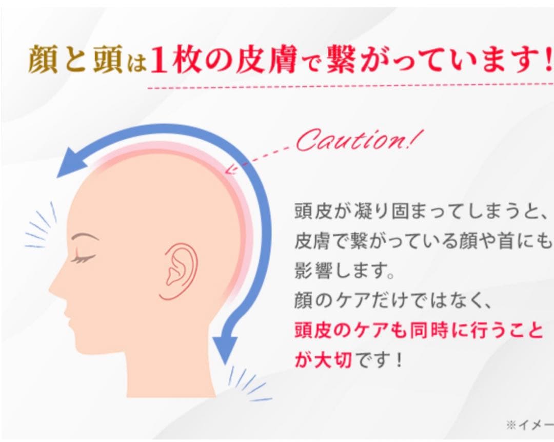 電動リフトブラシ　ドゥライズ　アデランス