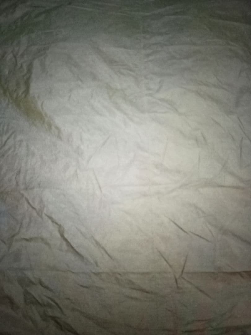 コールマン　タフスクリーン2ルーム　限定カラー　オリーブ／ブラウン