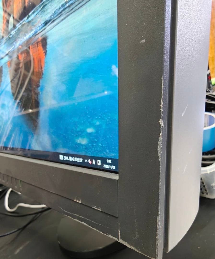 EIZO RadiForce RX440 29.8型液晶モニ　WQXGA