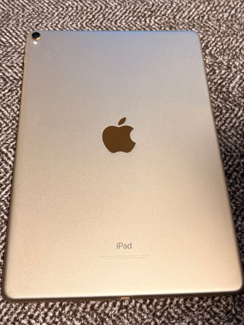 Apple iPad Pro ゴールド 本体　256GB