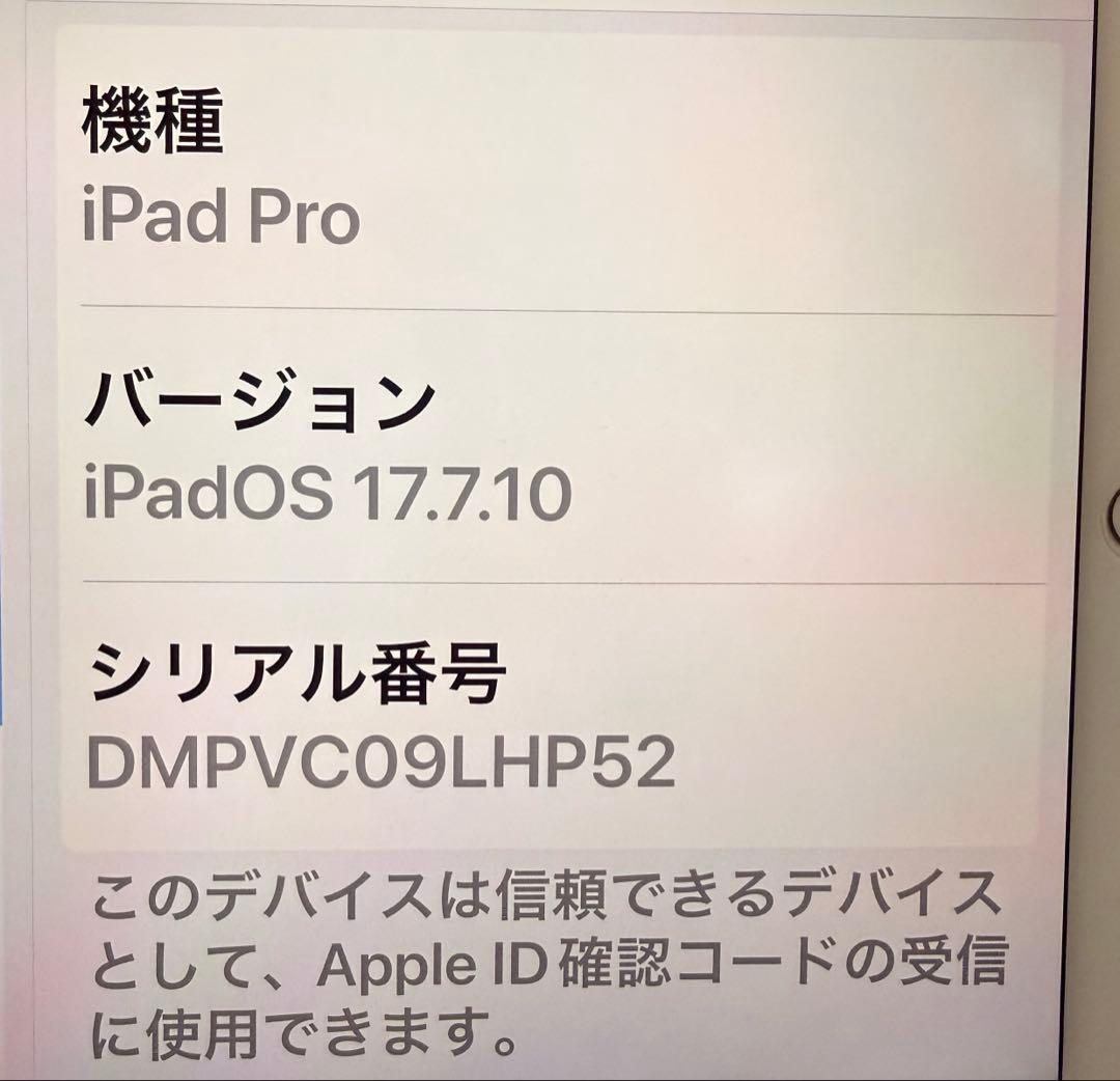 Apple iPad Pro ゴールド 本体　256GB