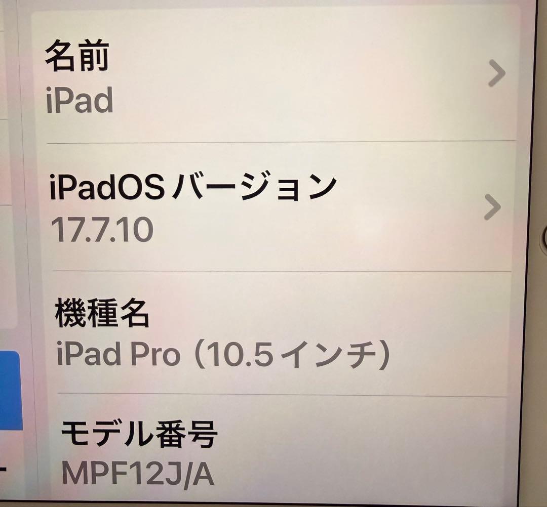 Apple iPad Pro ゴールド 本体　256GB