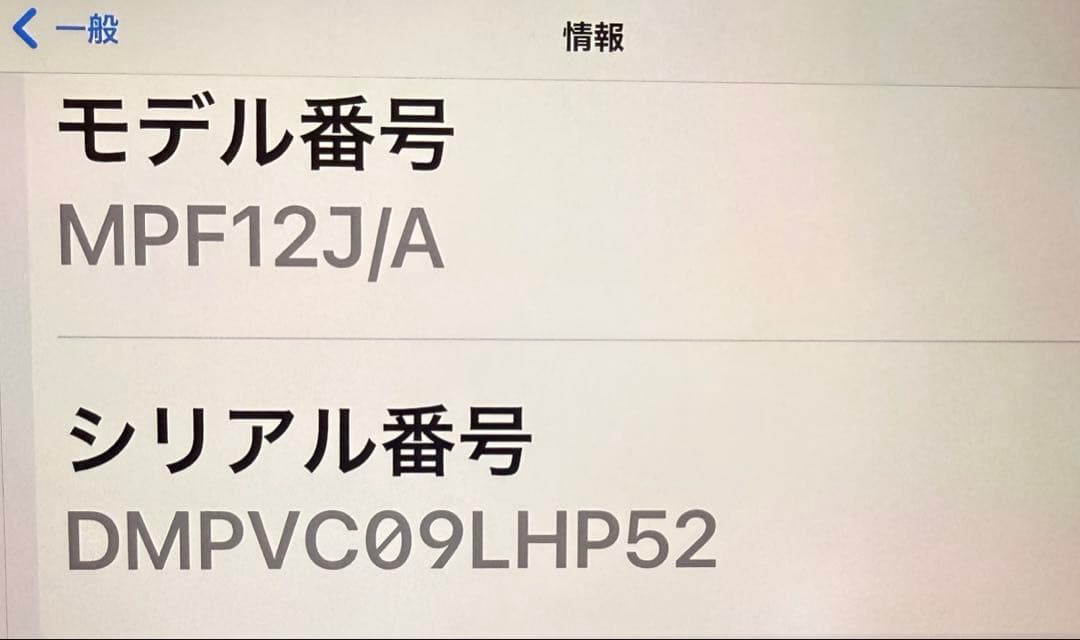 Apple iPad Pro ゴールド 本体　256GB