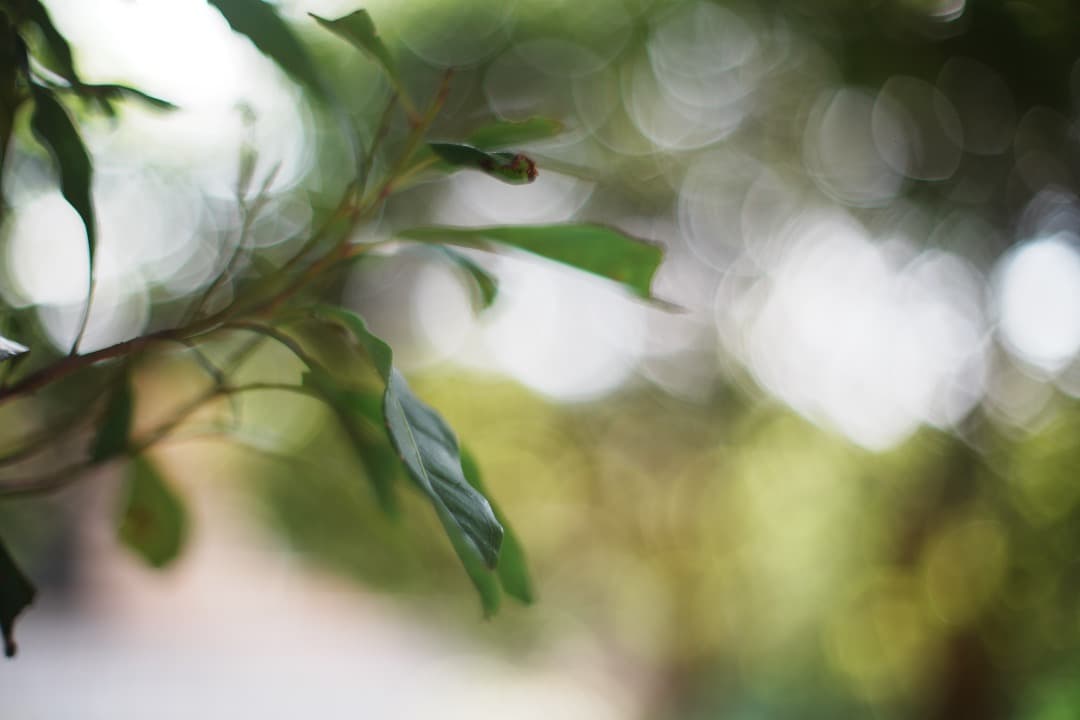 【美品】動作◎ オリンパス G.Zuiko auto 50mm F1.4 980