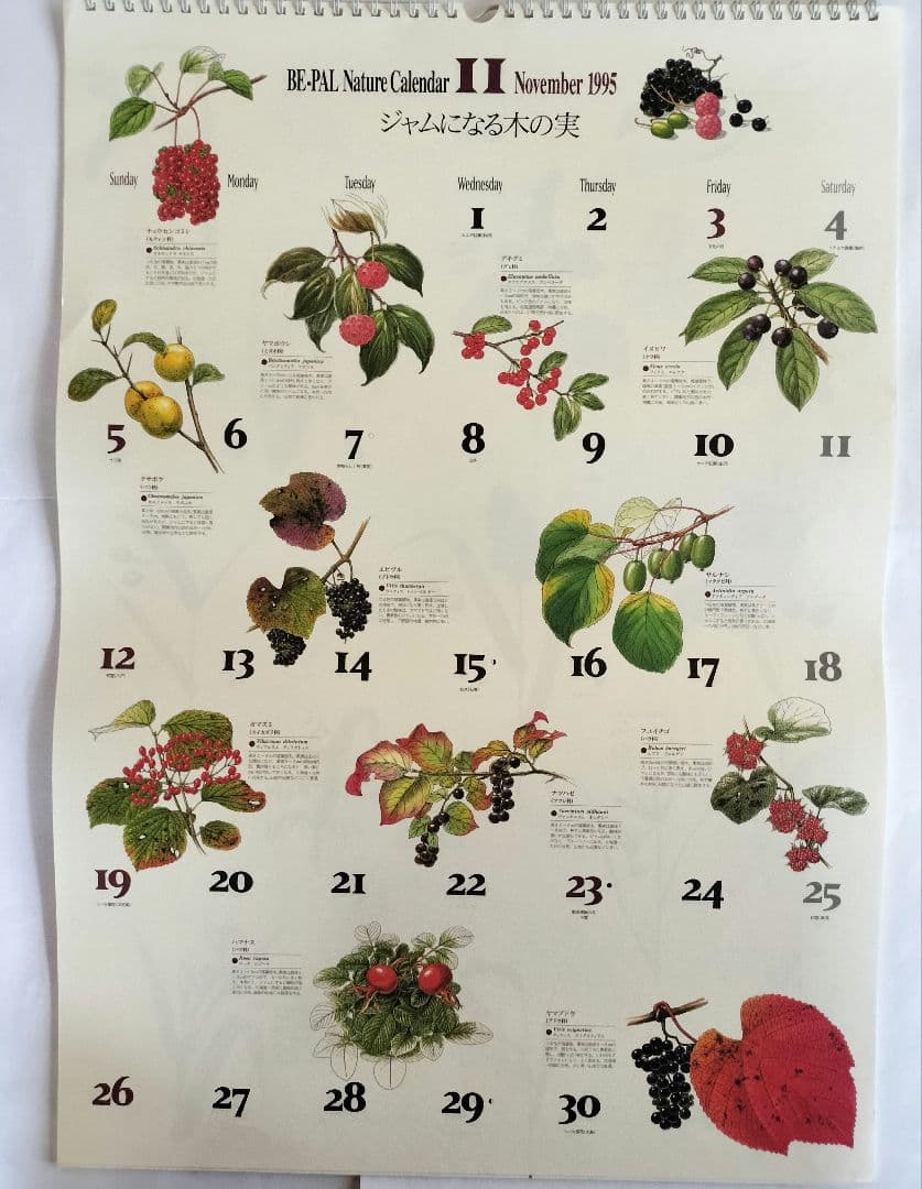 BE-PAL ビーパル カレンダー 新品未使用 1995年　ヴィンテージ
