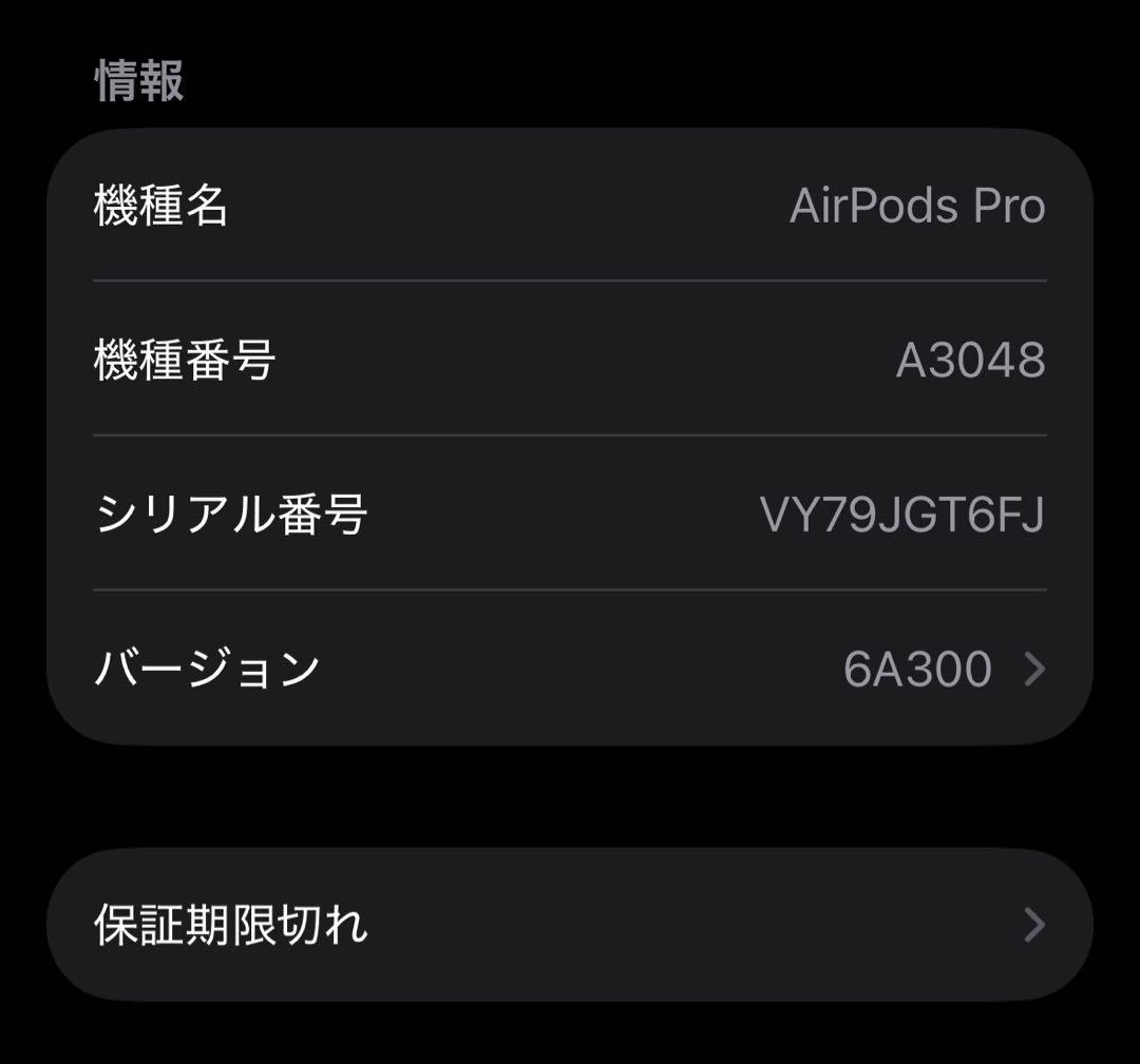 【極美品】AirPodsPro2 MagSafe MTJV3J/A GT6FJ