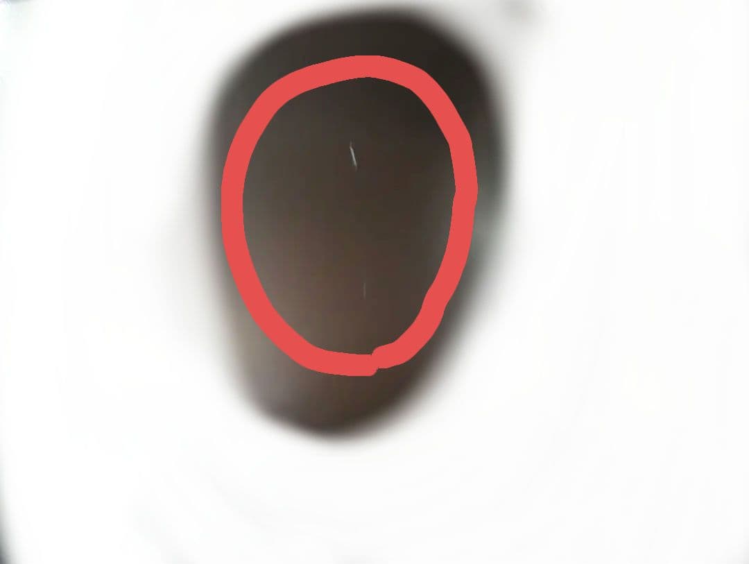 DELL U2723QX 4K HDR モニター