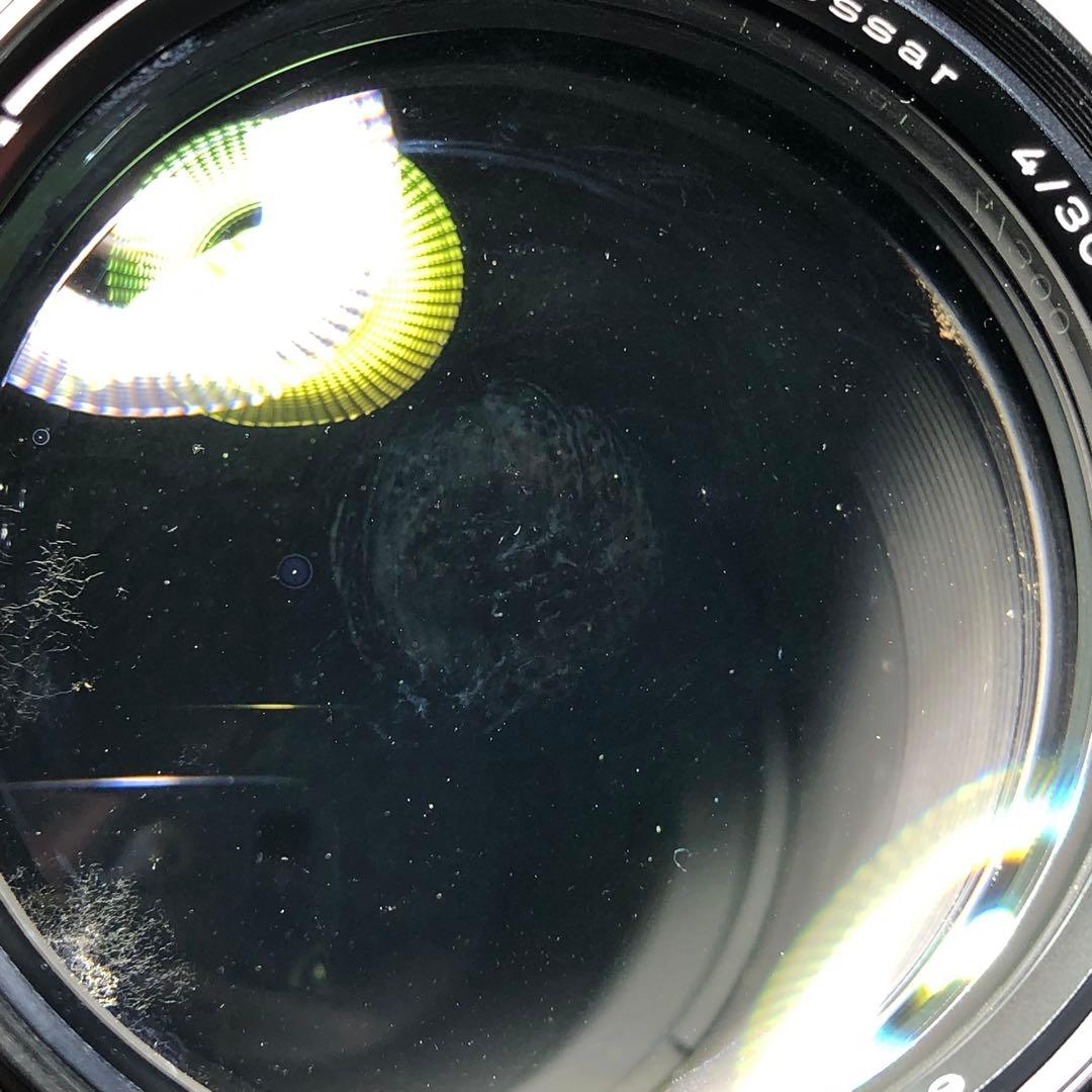 ピンクの猫 さま　CarlZeiss 300mm f4 Y/Cマウント