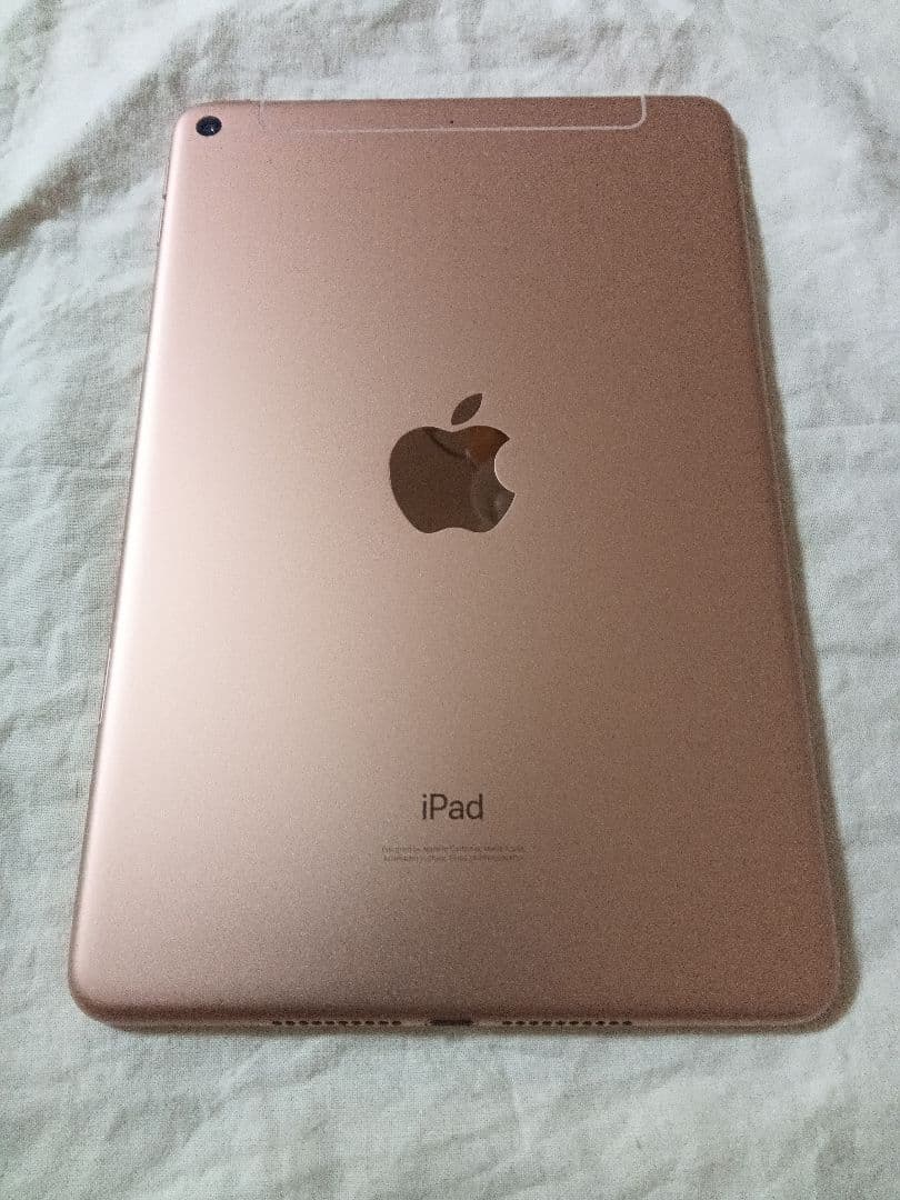 iPad mini 第5世代 バッテリー82%