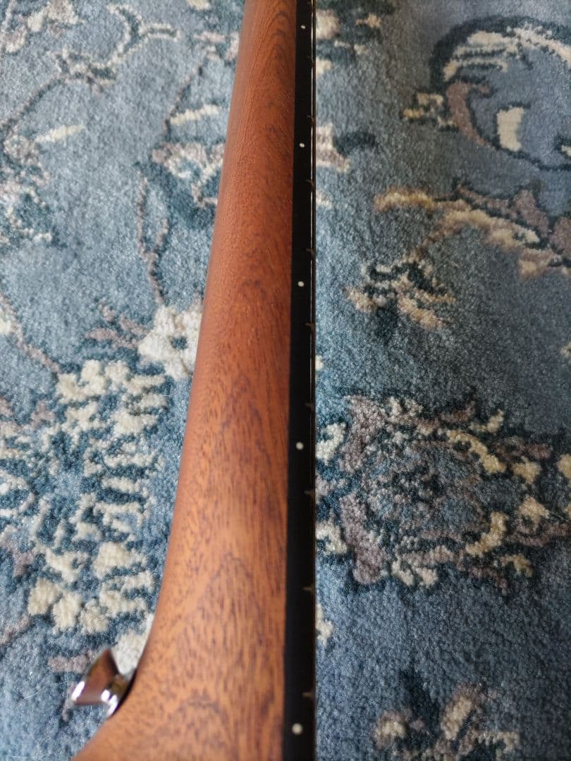 【美品】F.martin&Co 　マーティン　バックパッカー　ケース付き