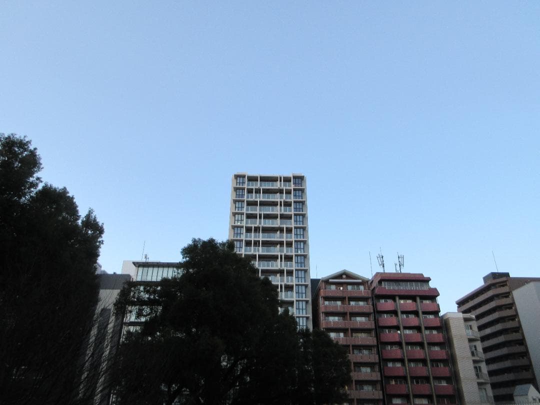 キャノン Canon IXY 650 シルバー コンパクトデジタルカメラ