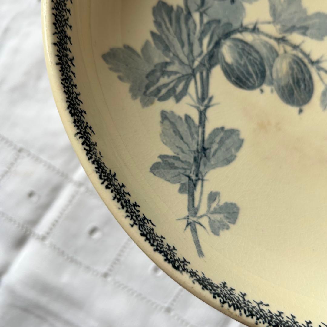 sarreguemines 高台　すぐりの実　グロゼイユ　コンポティエ　フランス