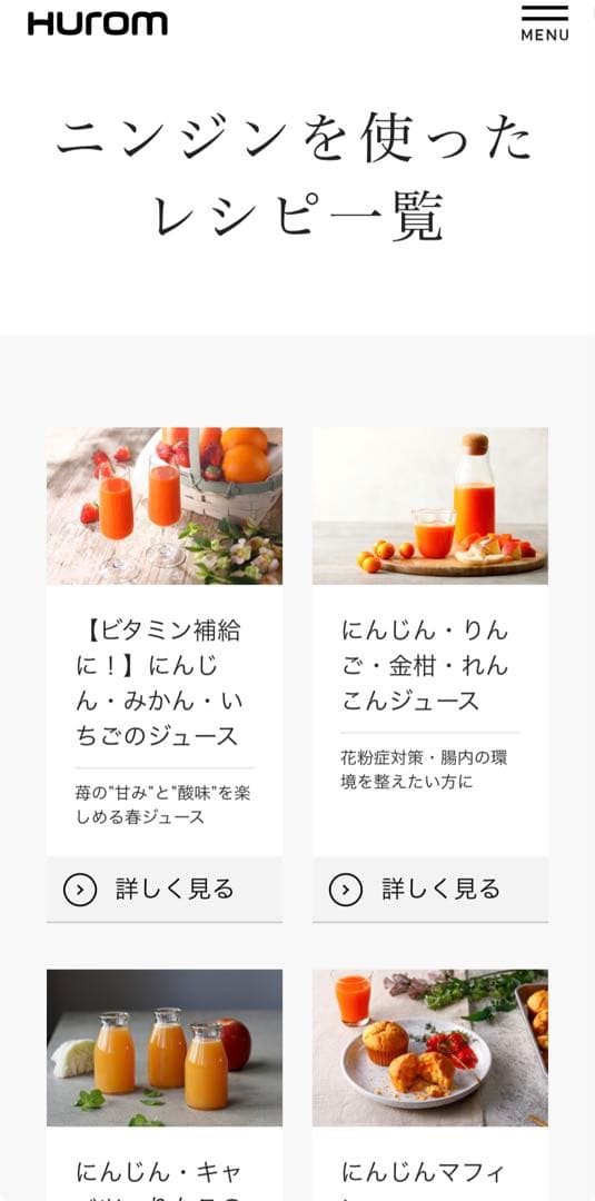 Hurom ヒューロム スロージューサー H-300E