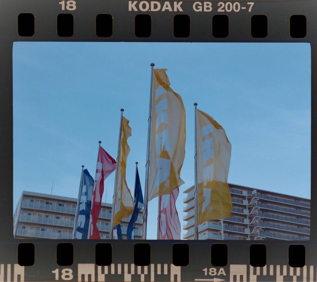 【山崎磨き】LEICA ライカ　ズミクロン　50mm f2 沈胴式　Mマウント